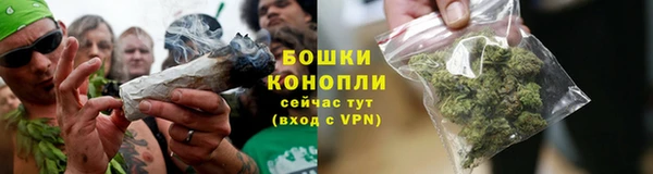 стафф Навашино