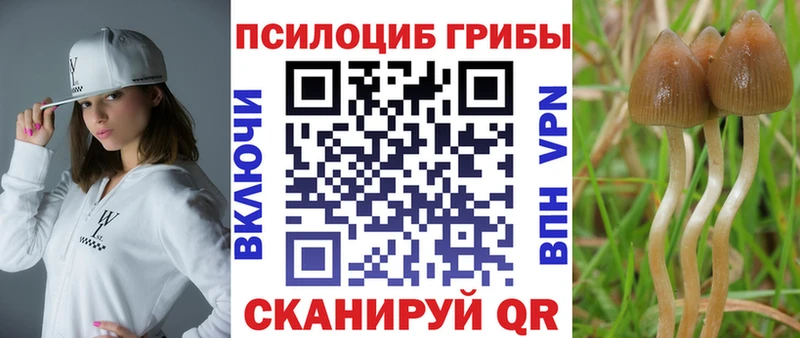 Галлюциногенные грибы ЛСД  Южно-Сухокумск 